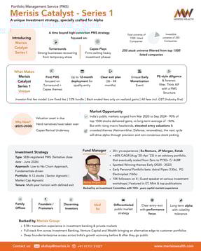 Merisis Catalyst Series 1 - One Pager (3)